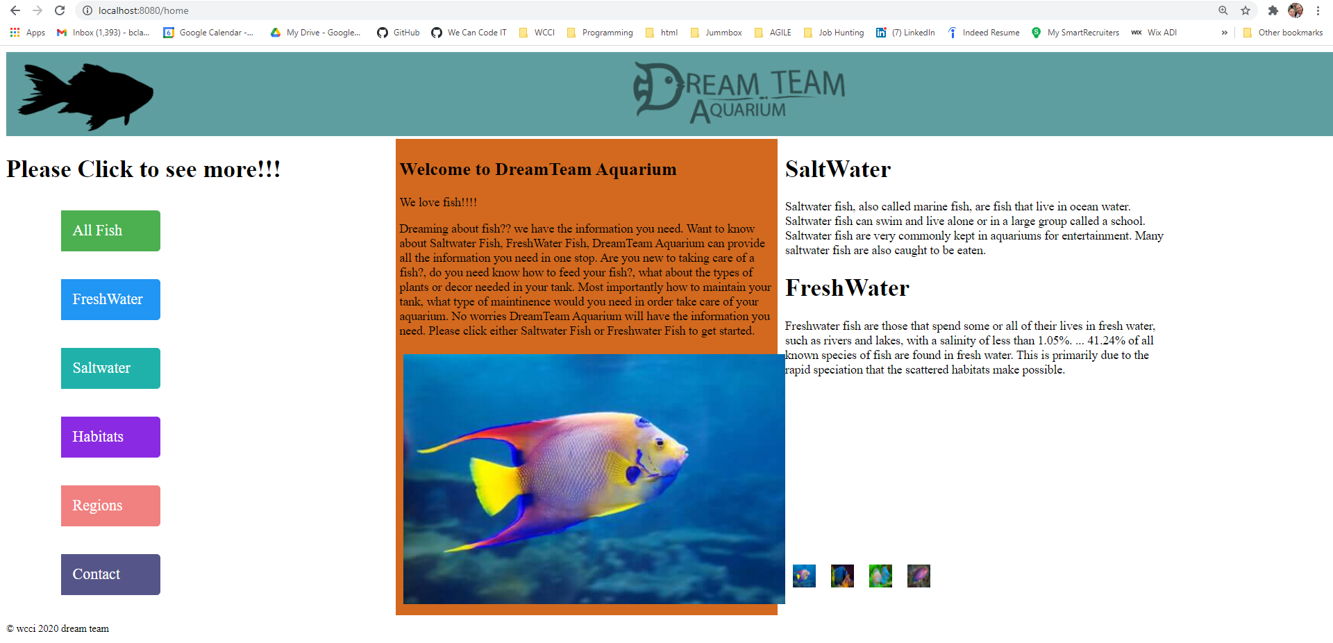 Dream team aquarium home page