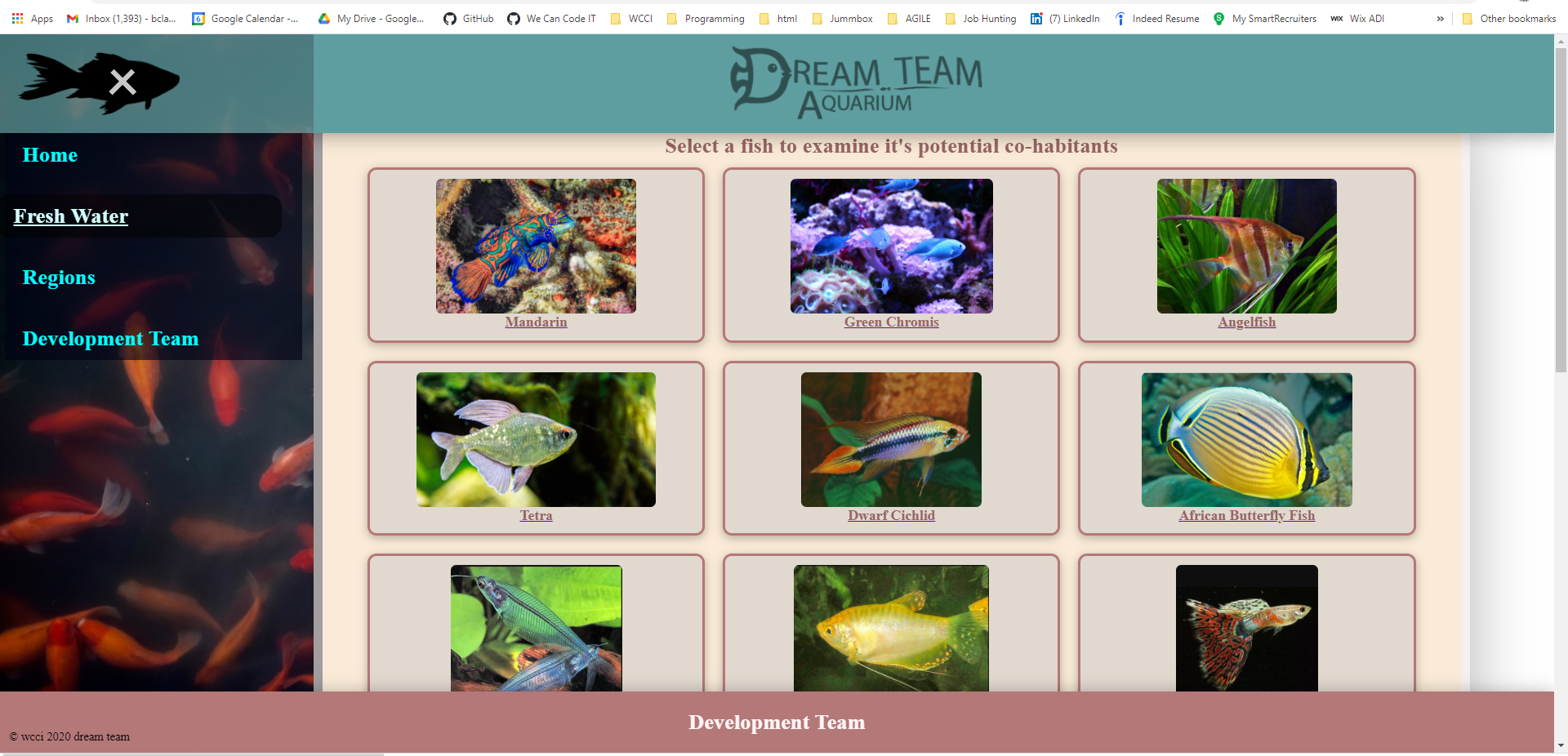 Dream team aquarium All Fish page